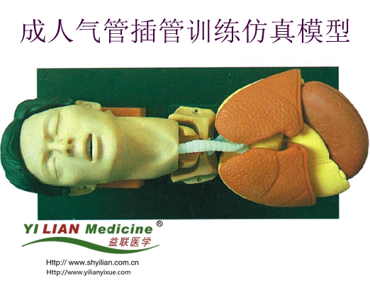 ���˚�ܲ��Ӗ(x��n)������ģ��