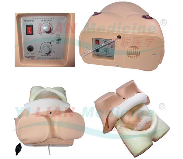 �߼���X�ЋD�z��ģ��