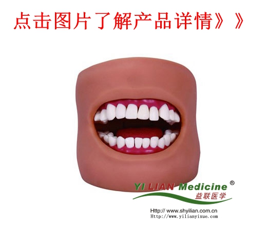 �߼�(j��)��ǻ�o(h��)��ģ��