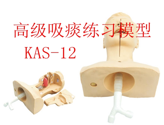 �߼�(j��)��̵����(x��)ģ��