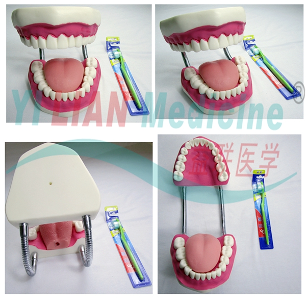 ���o(h��)������ģ��