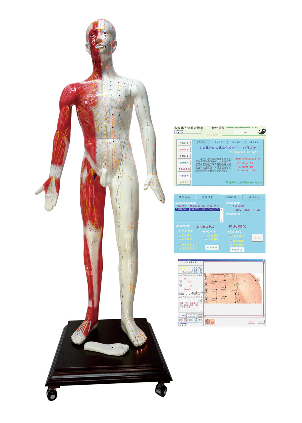 ��ý�w���wᘾ�Ѩλ�l(f��)��ģ��