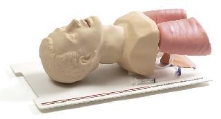 �������ģ�ͺ͚������ģ��