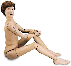 �˜��o��ģ����