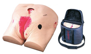 �쯏�o(h��)��ģ��(�����{˹)