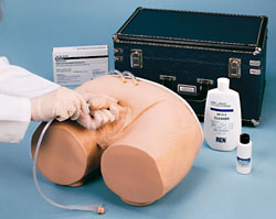 ���Ԍ�(d��o)��ģ��