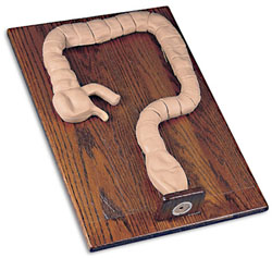 �Ҡ�Y(ji��)�c�R�z��ģ��