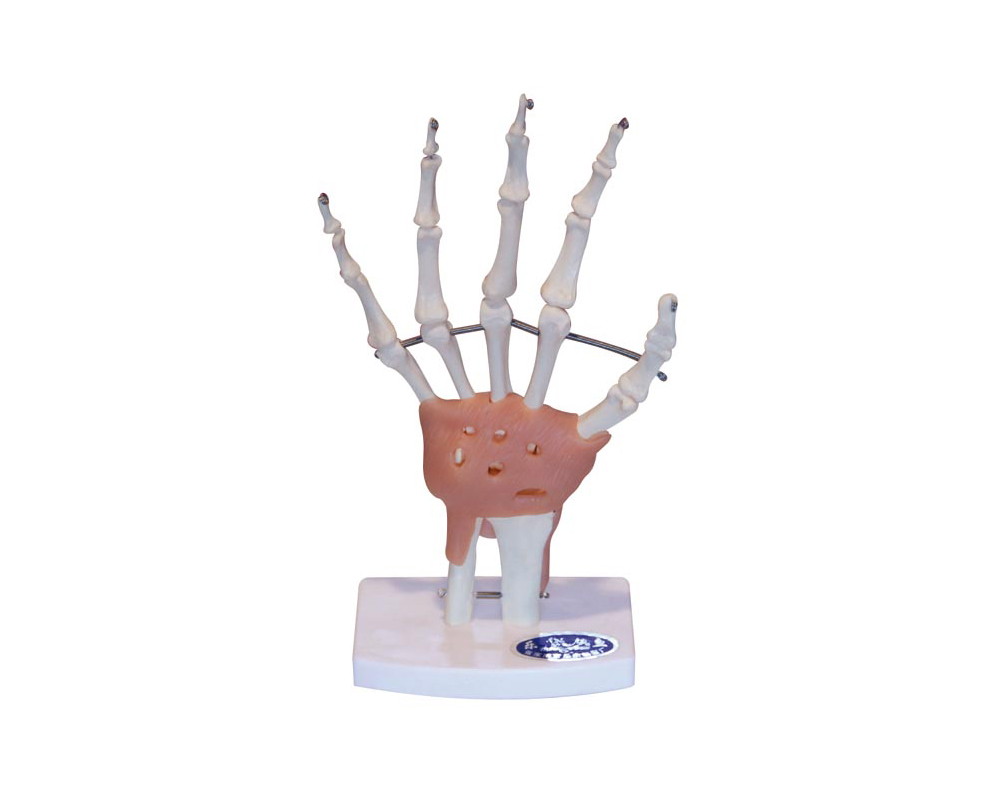 ���P��(ji��)