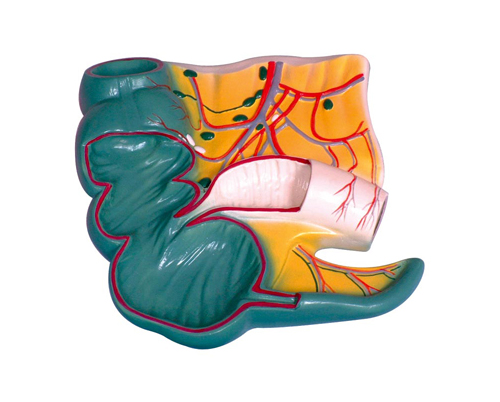 �@β��ä�c����