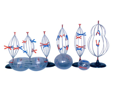 ��(x��)���нz�p��(sh��)���ѣ�9������