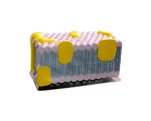 ��(x��)��Ĥ�Ŵ�