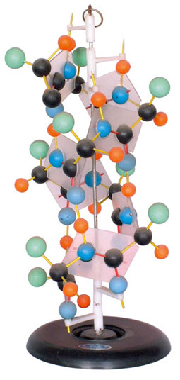 �����|(zh��)��ʾģ��