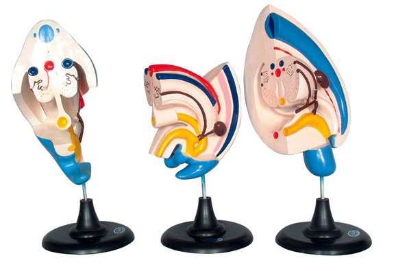 ����ϵ�y(t��ng)�l(f��)��ģ��