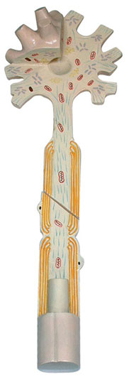 ��(j��ng)Ԫģ��