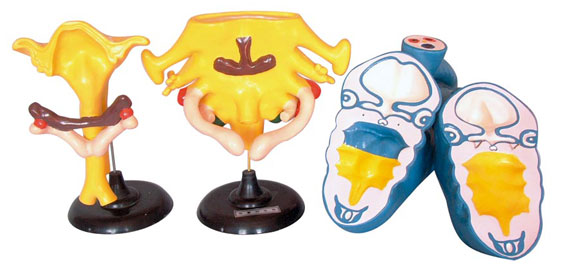 ����������