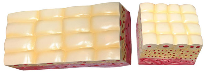 ׃����Ƥ�M��