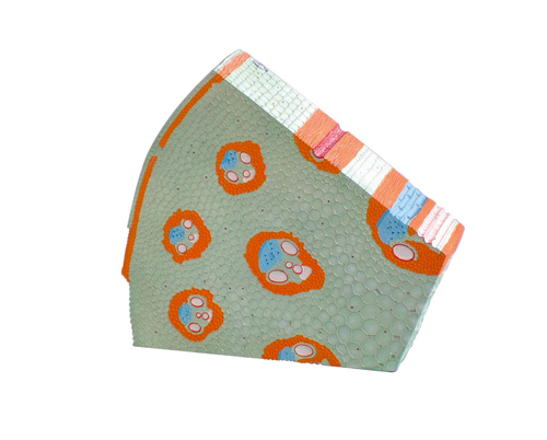 �����~ֲ���oģ��