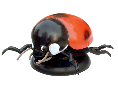 ����ư�xģ��