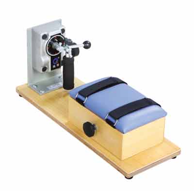 ���P�����D�� (���P������Ӗ������