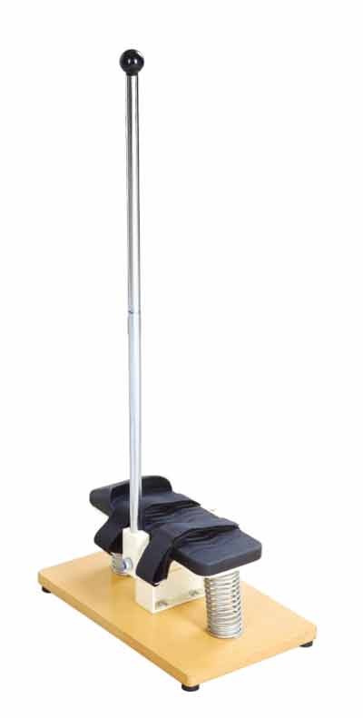 ���P�����Ӗ����(���P��Ӗ������