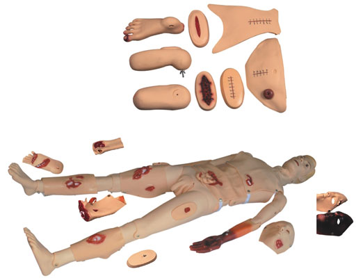 ȫ���܄�(chu��ng)���o(h��)����