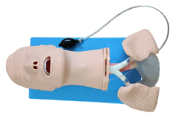 �߼��๦�ܚ������ģ��