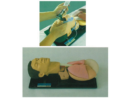 �߼���ܲ��Ӗ(x��n)������ģ��