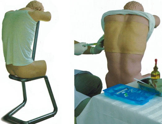 �������ز�������Ӗ(x��n)��ģ��