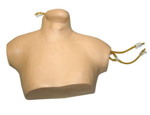 �����o�}���̲��ģ��