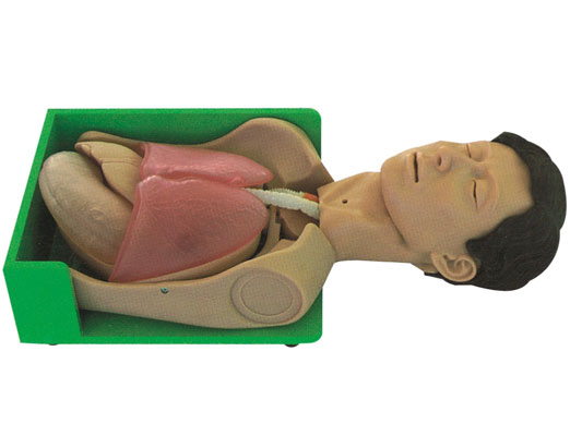 ͸��ϴθ��θ�c�p������˜ʻ�����