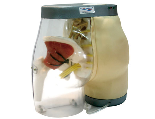 �߼��β�����ע�估����ģ��