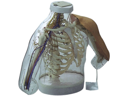 �߼�(j��)�ϱۼ���ע�估��(du��)��ģ�ͣ����z�y(c��)��ʾϵ�y(t��ng)��