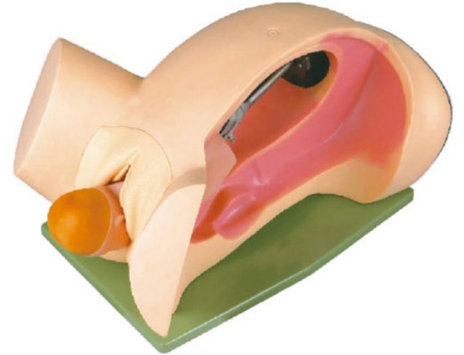 ����C(j��)�D(zhu��n)ʾ��ģ��