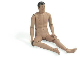 ����Kellyģ��