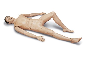 ���Ⱥ��ķΏ�(f��)�KӖ(x��n)��ģ��