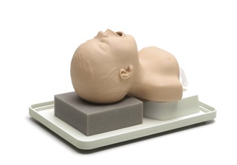 ���������ģ��