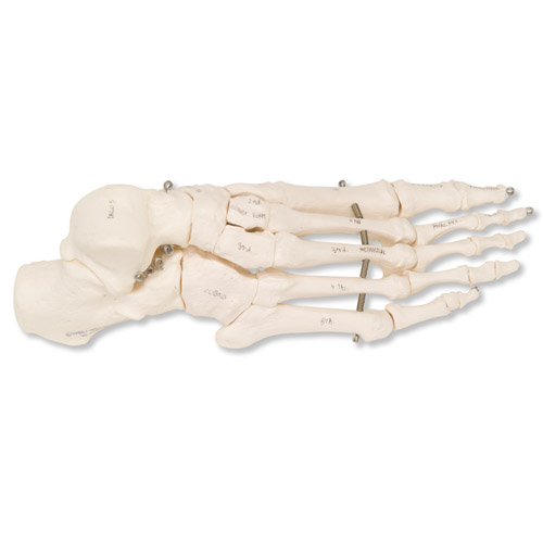 ��������ò��P䓽z�B����