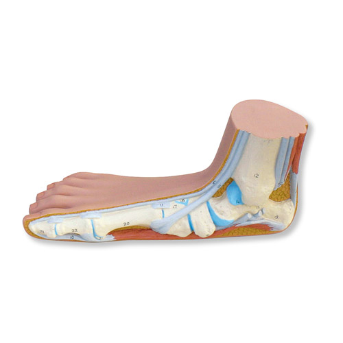 ƽ���㣨ƽ�㣩