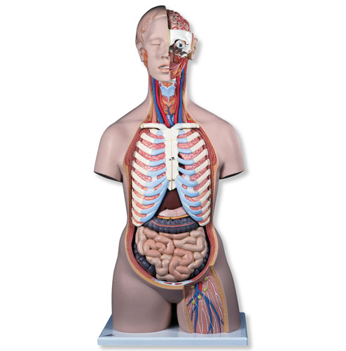 ��(j��ng)��o���|��ģ�ͣ����_�ţ�21����