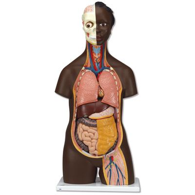 �������|�ɣ��o�ԣ�14����