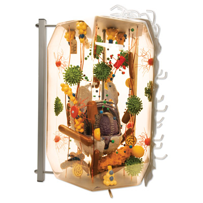 ��������ģ�ͣ������4�f��