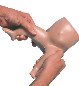 �냺�ɲ�ģ��