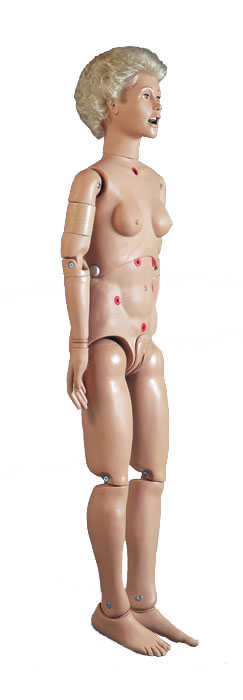 ���A�����o��ģ�ͣ�Ů��