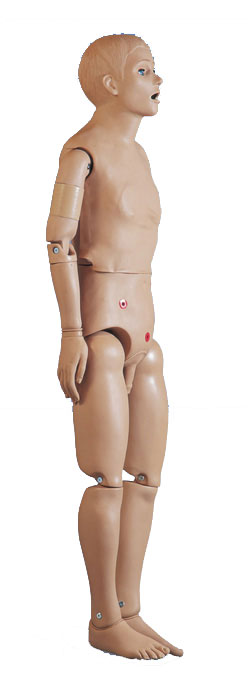 ���A�����o��ģ�ͣ�����