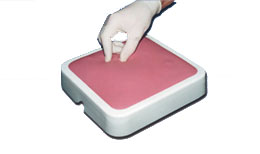 �[�K�[��ģ�M��