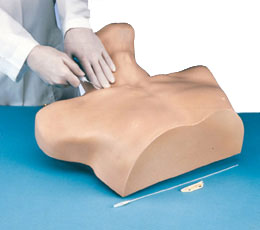 �����o�}�Ȳ��ģ��