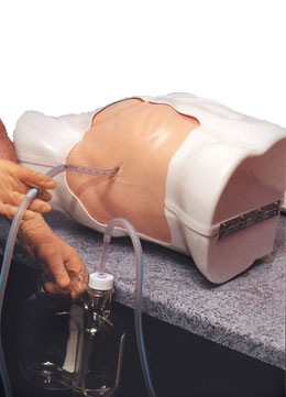 �ز�����ģ�M��