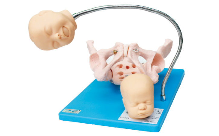 �߼�����C(j��)��ʾ��ģ��