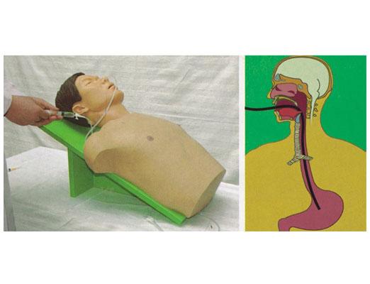 ��θ�ܷ���ģ��