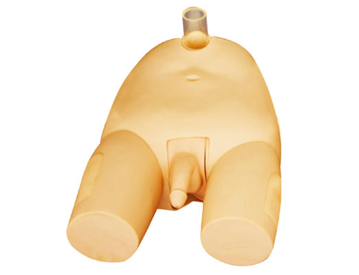 �߼����԰��״���ģ��